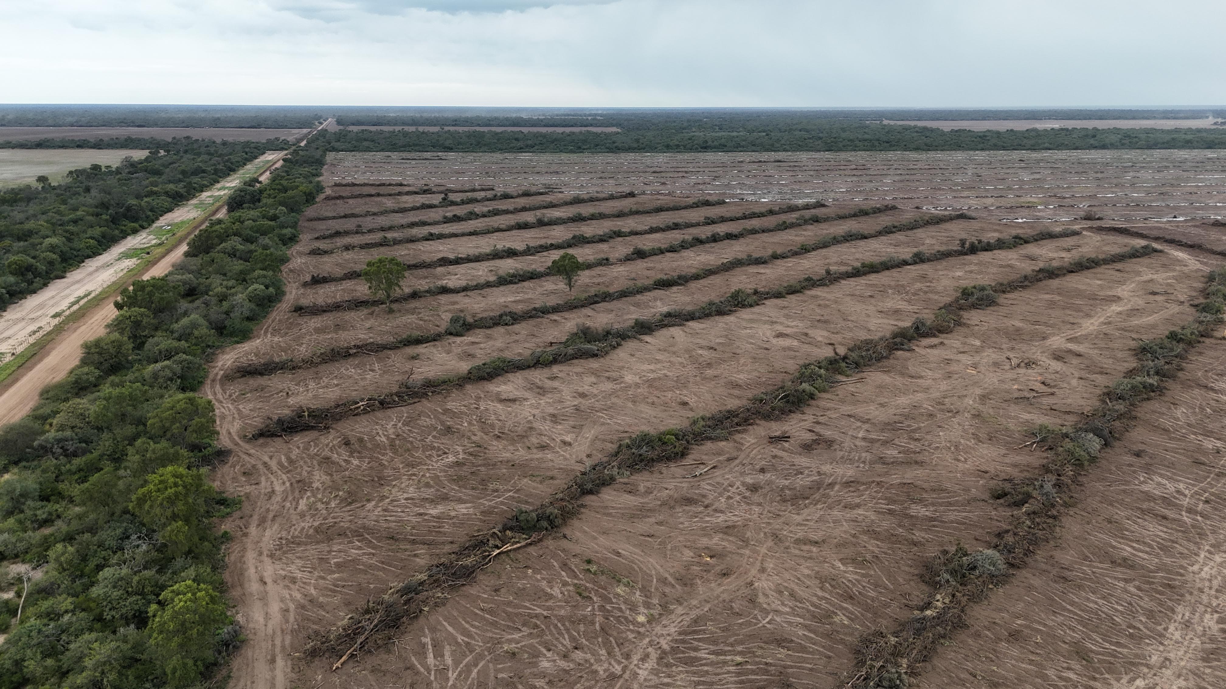 PAMPA DEL INFIERNO: NUEVO OPERATIVO CONTRA EL DESMONTE ILEGAL