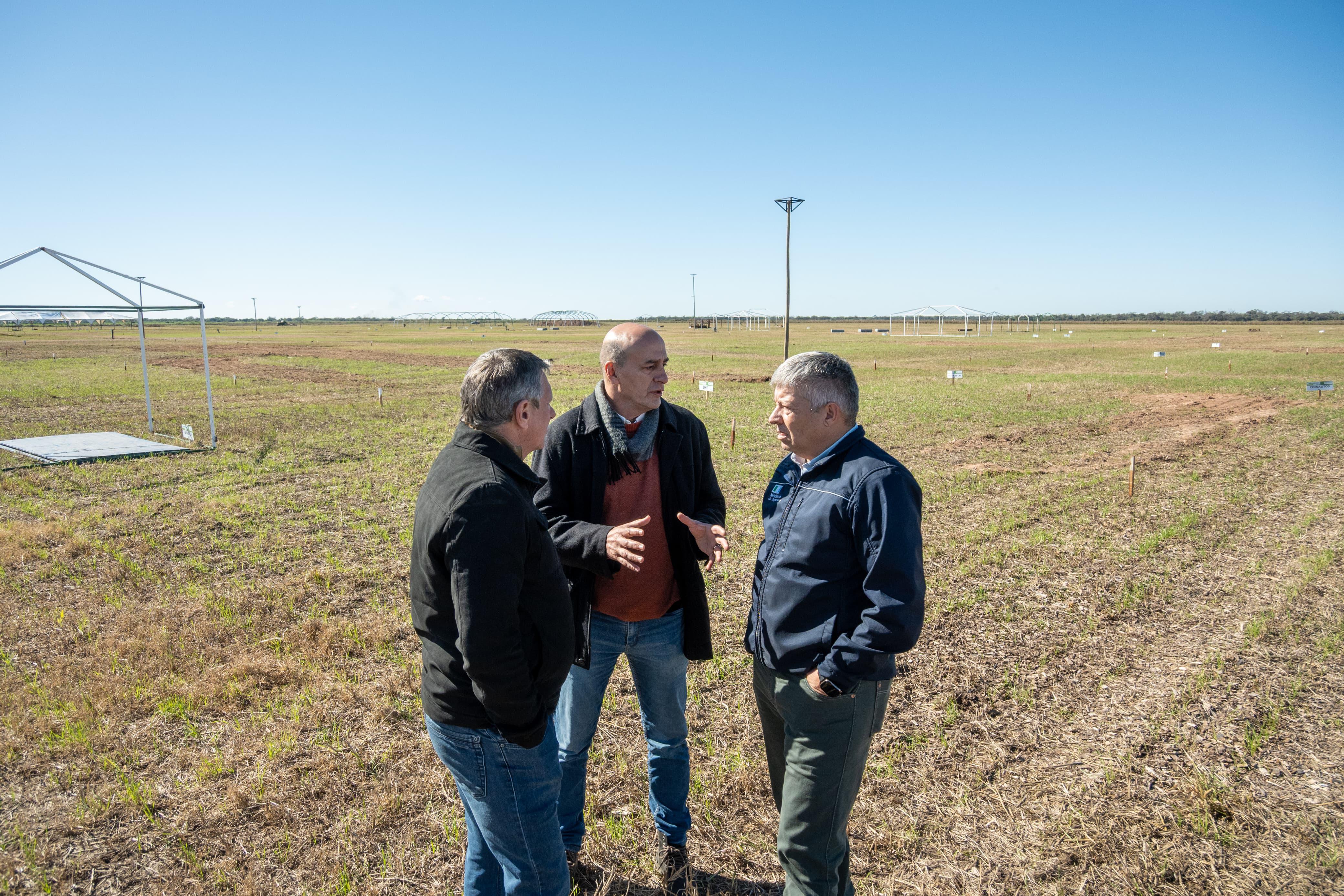 *AGRONEA 2026: EL GOBIERNO PLANIFICA UN OPERATIVO DE SEGURIDAD INTEGRAL PARA LA MAYOR MUESTRA DEL NORTE ARGENTINO*