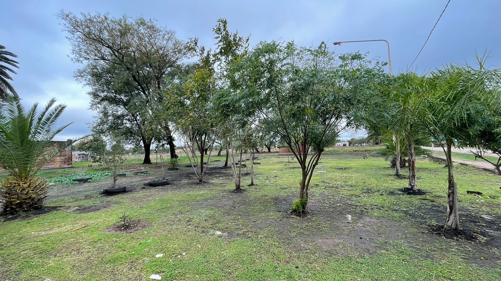 MUNICIPALIDAD DE VILLA ÁNGELA: PARQUIZACIÓN Y LIMPIEZA DE ESPACIOS VERDES PARA UNA CIUDAD MÁS SUSTENTABLE