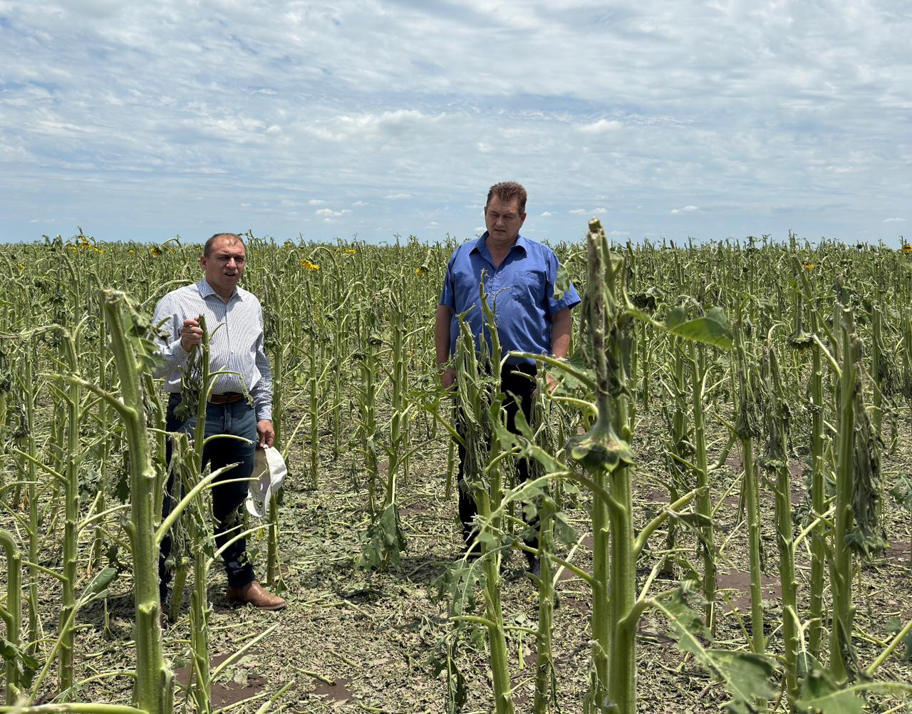 EL MINISTERIO DE LA PRODUCCIÓN RELEVÓ LOS DAÑOS POR LA TORMENTA EN HERMOSO CAMPO Y EN MESÓN DE FIERRO