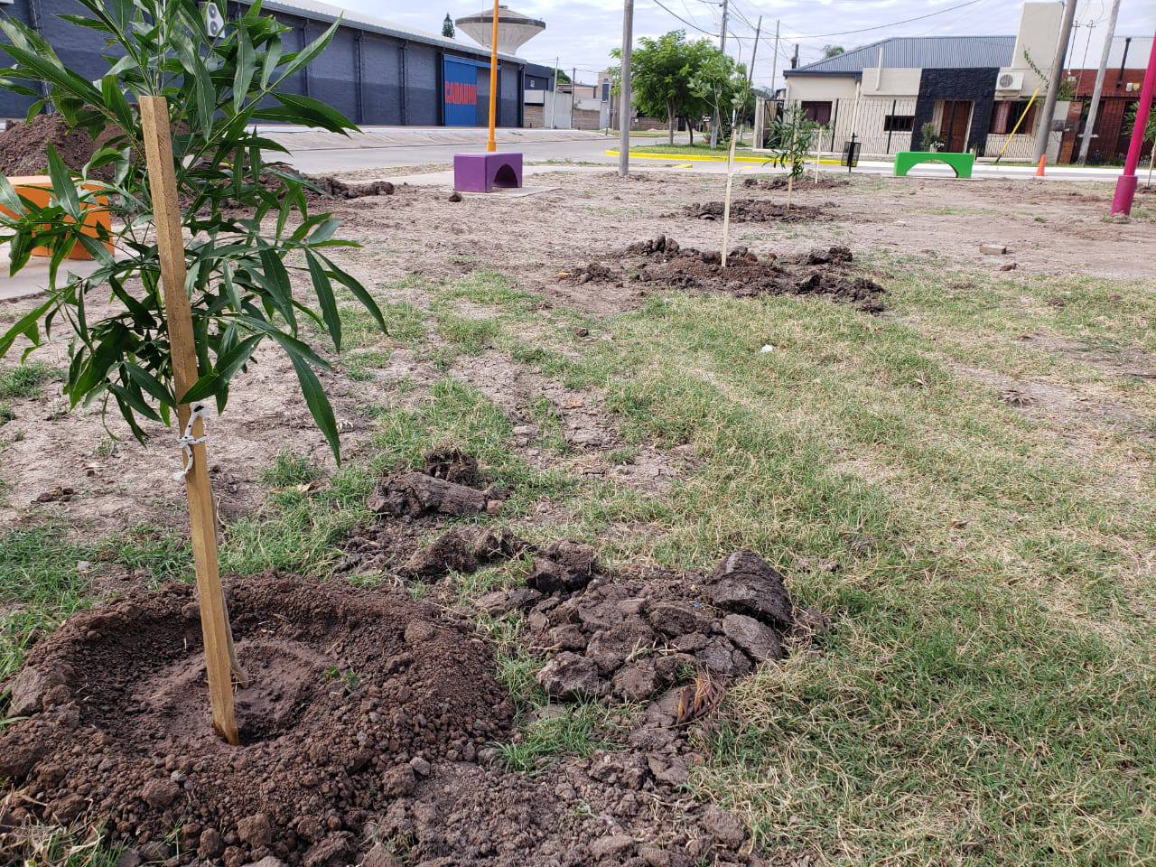 LA MUNICIPALIDAD DE VILLA ÁNGELA AVANZA CON LA FORESTACIÓN Y PARQUIZACIÓN EN LA PLAZA DEL BARRIO CÁMARA DE COMERCIO