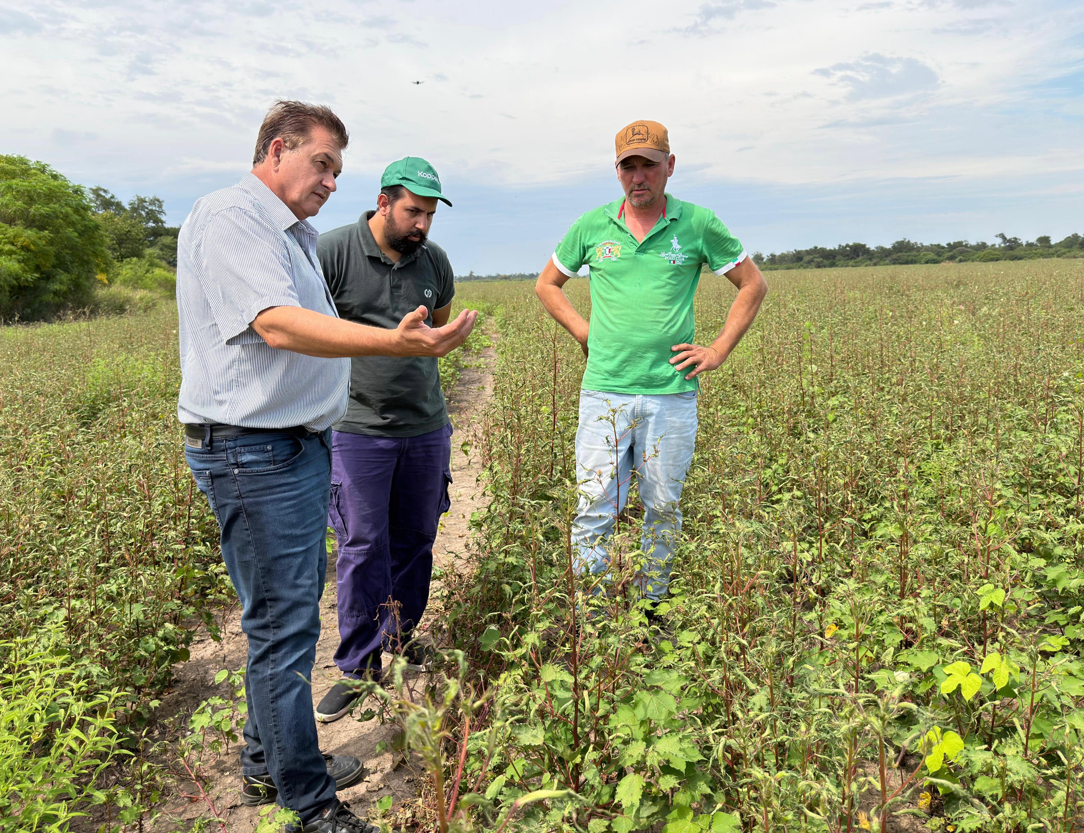 LAS BREÑAS: EL GOBIERNO PROVINCIAL ENDURECE CONTROLES CONTRA EL USO DE HERBICIDAS PROHIBIDOS